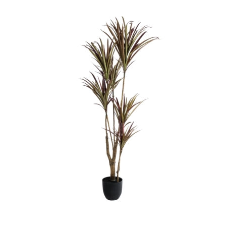 DRAGON BLOOD TREE 20970 - Τεχνητό Διακοσμητικό Φυτό Δράκαινα Φ60 x Υ140cm - Τεχνητες Δρακαινες και Γιουκα