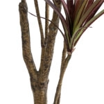 DRAGON BLOOD TREE 20970 - Τεχνητό Διακοσμητικό Φυτό Δράκαινα Φ60 x Υ140cm