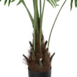 SERENOA PALM PLANT 20972 Διακοσμητικό Φυτό Φοίνικα Σερενόα Φ103 x Υ180cm