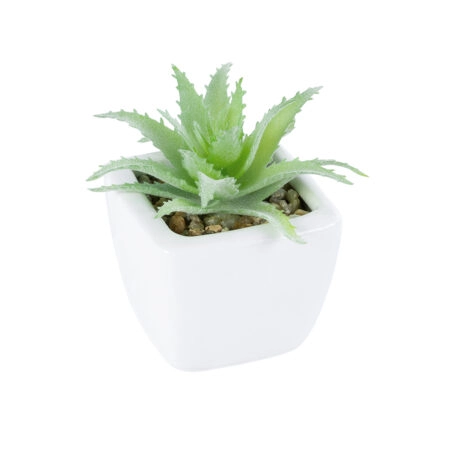 ΠΑΧΥΦΥΤΟ ALOE LOTUS PLANT 20976 Διακοσμητικό Φυτό Παχύφυτο Λωτός Αλόης Φ8 x Υ8cm - Μικρα Φυτά και Παχύφυτα