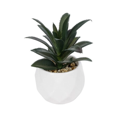 ΠΑΧΥΦΥΤΟ ALOE ΣΕ ΓΛΑΣΤΡΑΚΙ 20983 Διακοσμητικό Φυτό Αλόης Φ9 x Υ12cm - Μικρα Φυτά και Παχύφυτα