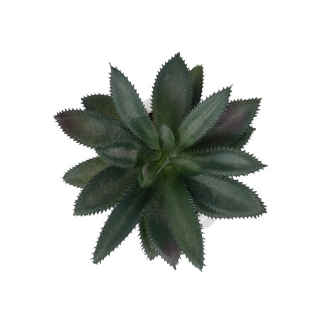 ΠΑΧΥΦΥΤΟ ALOE ΣΕ ΓΛΑΣΤΡΑΚΙ 20983 Διακοσμητικό Φυτό Αλόης Φ9 x Υ12cm - Μικρα Φυτά και Παχύφυτα Sticky 1