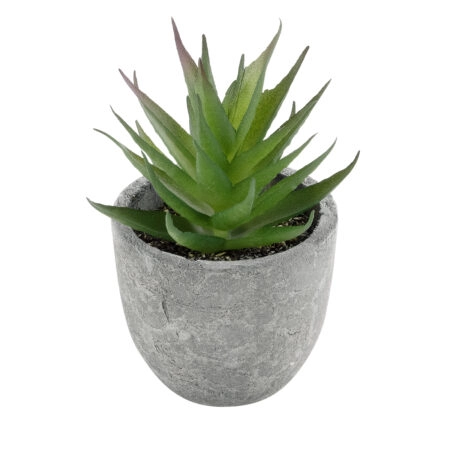 ΠΑΧΥΦΥΤΟ ALOE 21010 Διακοσμητικό Φυτό Παχύφυτο Αλόη Υ11cm - Μικρα Φυτά και Παχύφυτα