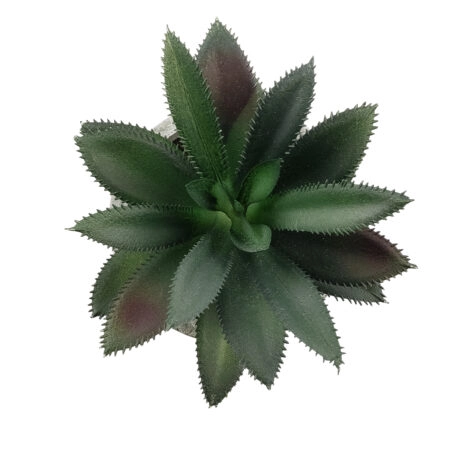 ΠΑΧΥΦΥΤΟ ALOE 21011 Διακοσμητικό Φυτό Παχύφυτο Αλόη Υ13cm - Μικρα Φυτά και Παχύφυτα Sticky 1