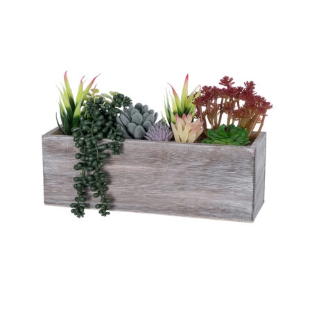 ΠΑΧΥΦΥΤΟ VARIUS PLANT POTTED 21033 Διακοσμητικό Φυτό Μίξ Μ29 x Π10 x Υ18cm - Μικρα Φυτά και Παχύφυτα