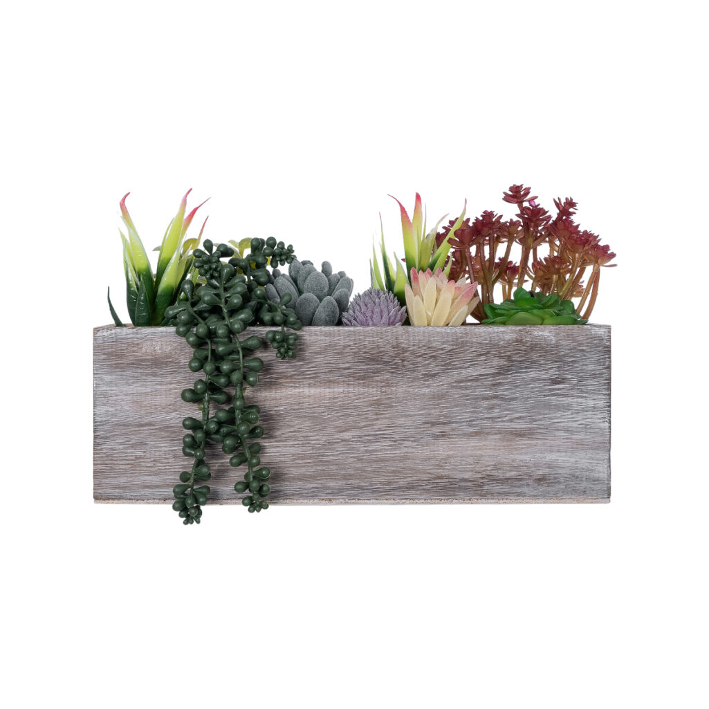 ΠΑΧΥΦΥΤΟ VARIUS PLANT POTTED 21033 Διακοσμητικό Φυτό Μίξ Μ29 x Π10 x Υ18cm