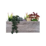 ΠΑΧΥΦΥΤΟ VARIUS PLANT POTTED 21033 Διακοσμητικό Φυτό Μίξ Μ29 x Π10 x Υ18cm