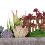 ΠΑΧΥΦΥΤΟ VARIUS PLANT POTTED 21033 Διακοσμητικό Φυτό Μίξ Μ29 x Π10 x Υ18cm