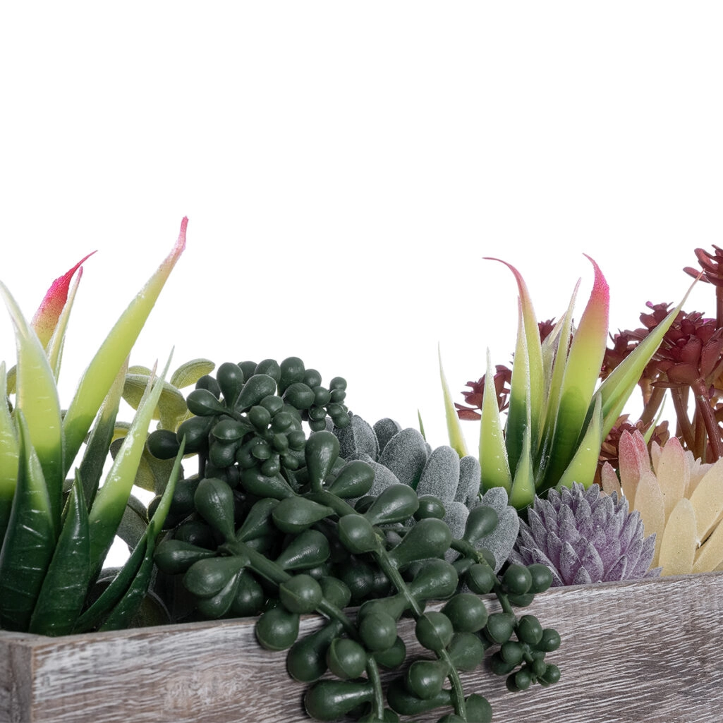 ΠΑΧΥΦΥΤΟ VARIUS PLANT POTTED 21033 Διακοσμητικό Φυτό Μίξ Μ29 x Π10 x Υ18cm