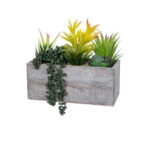 ΠΑΧΥΦΥΤΟ VARIUS PLANT POTTED 21034 Διακοσμητικό Φυτό Μίξ Μ23 x Π13 x Υ23cm