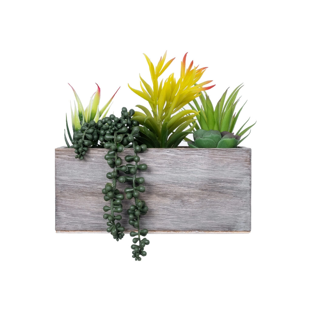 ΠΑΧΥΦΥΤΟ VARIUS PLANT POTTED 21034 Διακοσμητικό Φυτό Μίξ Μ23 x Π13 x Υ23cm