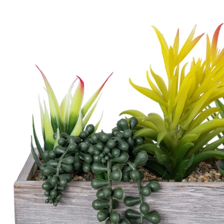 ΠΑΧΥΦΥΤΟ VARIUS PLANT POTTED 21034 Διακοσμητικό Φυτό Μίξ Μ23 x Π13 x Υ23cm - Μικρα Φυτά και Παχύφυτα Sticky 3