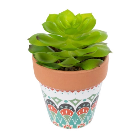 ΠΑΧΥΦΥΤΟ ECHEVERIA 21049 Διακοσμητικό Φυτό Παχύφυτο Εχεβέρια Υ14cm - Μικρα Φυτά και Παχύφυτα