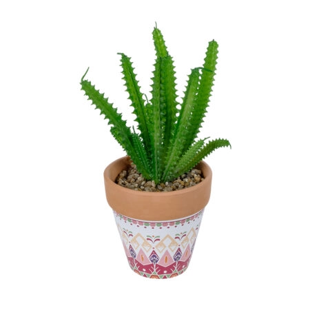 ΠΑΧΥΦΥΤΟ EUPHORBIA ΣΕ ΓΛΑΣΤΡΑΚΙ 21052 Διακοσμητικό Φυτό Ευφορβία Φ18 x Υ23cm - Μικρα Φυτά και Παχύφυτα