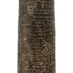 PLANT PALM TREE 21055 Διακοσμητικό Δέντρο Φοίνικα  Φ240 x Υ400cm