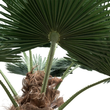 PLANT PALM TREE 21057 Διακοσμητικό Δέντρο Φοίνικα  Φ240 x Υ600cm - Τεχνητοι Φοινικες Sticky 1