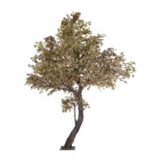 MAPLE TREE 21058 Τεχνητό Διακοσμητικό Δέντρο Σφένδαμος Υ400cm - Τεχνητά Φυτά και Δέντρα