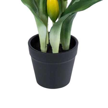 YELLOW TULIP 21093 Διακοσμητικό Φυτό Κίτρινη Τουλίπα Υ23cm - Μικρα Φυτά και Παχύφυτα Sticky 2