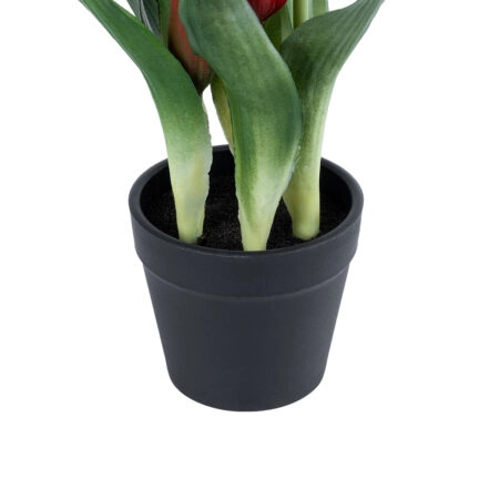 RED TULIP 21094 Διακοσμητικό Φυτό Κόκκινη Τουλίπα Υ23cm - Μικρα Φυτά και Παχύφυτα Sticky 2