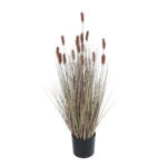 BROWN LAGURUS 21099 Διακοσμητικό Φυτό Καφέ Λαγοουρά Υ70cm