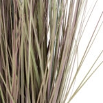 BROWN LAGURUS 21099 Διακοσμητικό Φυτό Καφέ Λαγοουρά Υ70cm