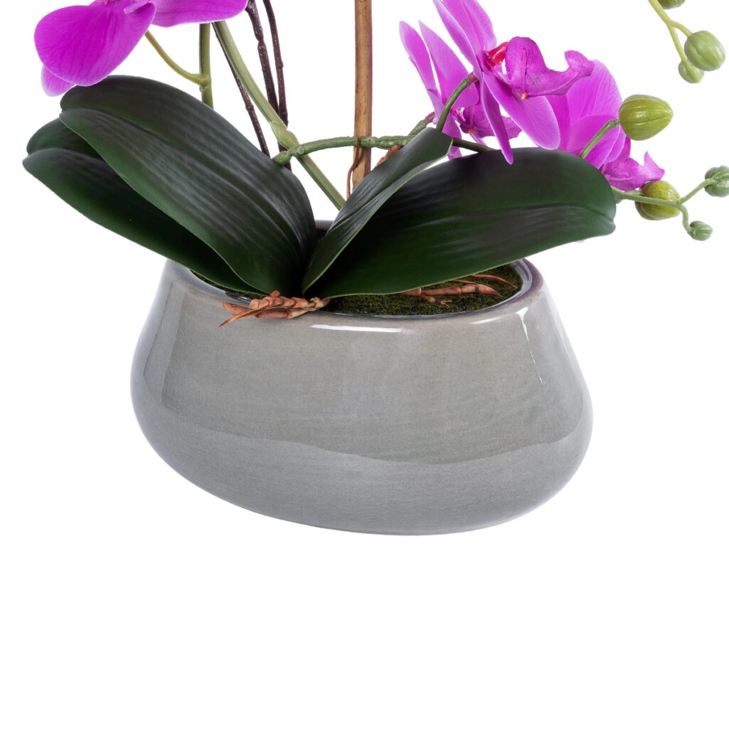 HOT PINK ORCHID 21119 Διακοσμητικό Φυτό  Έντονο Ροζ Ορχιδέα Υ43cm