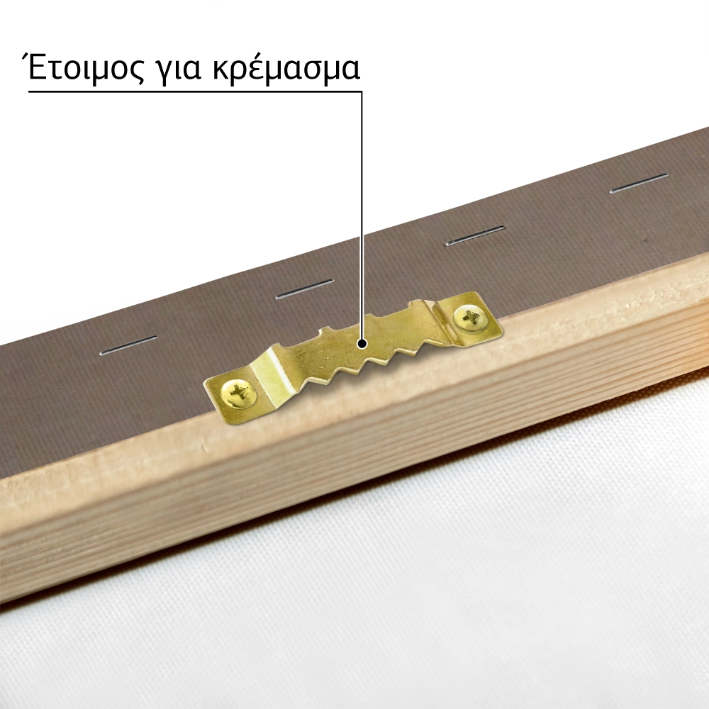 Πινακας σε καμβά LASZLO MOHOLY-NAGY - LIS 1922