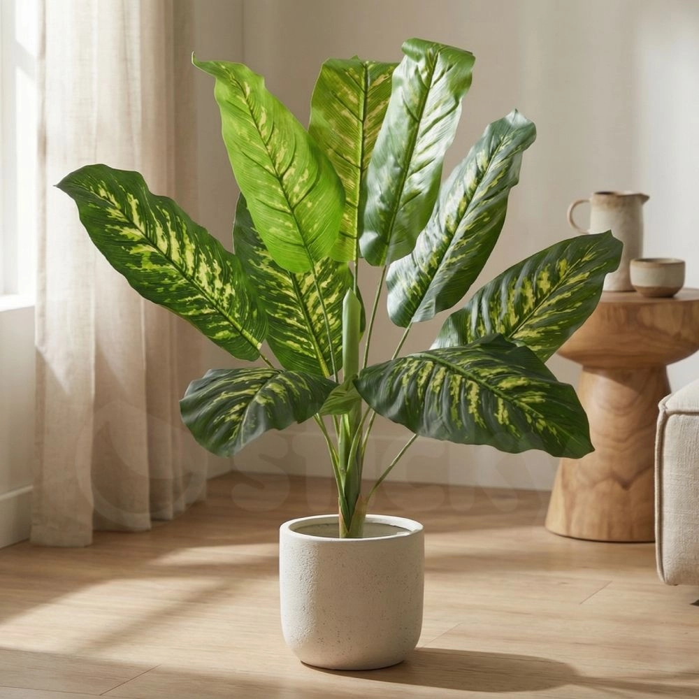 CALATHEA PLANT 20940 Διακοσμητικό Φυτό Καλαθέα Φ80 x Υ90cm