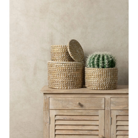 FEROCACTUS ΦΥΤΟ ΤΕΧΝΗΤΟ ΣΕ ΓΛΑΣΤΡΑ 25x25x33 ΥΦΑΣΜΑ ΠΡΑΣΙΝΟ ΛΕΥΚΟ ΠΛΑΣΤΙΚΟ - Τεχνητοι Κακτοι Sticky 2