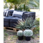 FEROCACTUS ΦΥΤΟ ΤΕΧΝΗΤΟ ΣΕ ΓΛΑΣΤΡΑ 25x25x33 ΥΦΑΣΜΑ ΠΡΑΣΙΝΟ ΛΕΥΚΟ ΠΛΑΣΤΙΚΟ