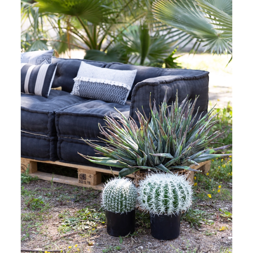 FEROCACTUS ΦΥΤΟ ΤΕΧΝΗΤΟ ΣΕ ΓΛΑΣΤΡΑ 25x25x33 ΥΦΑΣΜΑ ΠΡΑΣΙΝΟ ΛΕΥΚΟ ΠΛΑΣΤΙΚΟ