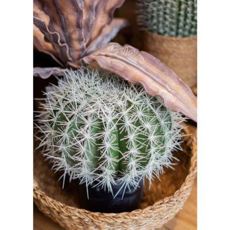 FEROCACTUS ΦΥΤΟ ΤΕΧΝΗΤΟ ΣΕ ΓΛΑΣΤΡΑ 25x25x33 ΥΦΑΣΜΑ ΠΡΑΣΙΝΟ ΛΕΥΚΟ ΠΛΑΣΤΙΚΟ - Τεχνητοι Κακτοι Sticky 4