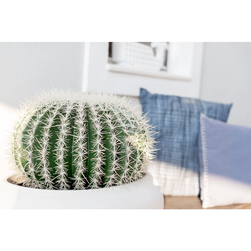 FEROCACTUS ΦΥΤΟ ΤΕΧΝΗΤΟ ΣΕ ΓΛΑΣΤΡΑ 25x25x33 ΥΦΑΣΜΑ ΠΡΑΣΙΝΟ ΛΕΥΚΟ ΠΛΑΣΤΙΚΟ