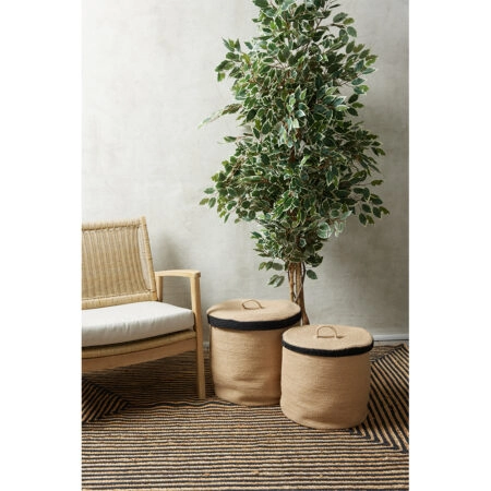FICUS ΔΕΝΤΡΟ ΤΕΧΝΗΤΟ ΣΕ ΓΛΑΣΤΡΑ 170 POLYESTER ΠΡΑΣΙΝΟ PE/PP - Τεχνητοι Φικοι Sticky 2