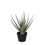 ALOE ΦΥΤΟ ΤΕΧΝΗΤΟ ΣΕ ΓΛΑΣΤΡΑ 52 PVC ΠΡΑΣΙΝΟ ΜΑΥΡΟ ΤΣΙΜΕΝΤΟ