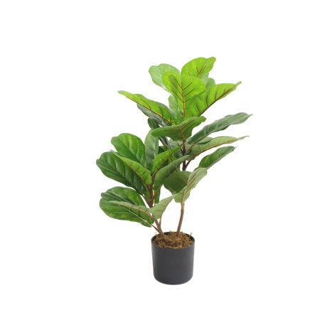 FIDDLE FIG ΔΕΝΤΡΟ ΤΕΧΝΗΤΟ ΣΕ ΓΛΑΣΤΡΑ 65 PEVA ΠΡΑΣΙΝΟ - Τεχνητα Καρποφορα δέντρα