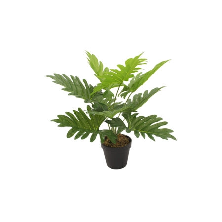 PHILODENDRON ΦΥΤΟ ΤΕΧΝΗΤΟ ΣΕ ΓΛΑΣΤΡΑ 45 PEVA ΠΡΑΣΙΝΟ - 