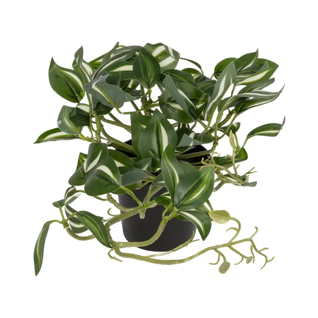 ZEBRINA PLANT 20960 Διακοσμητικό Φυτό Ζεμπρίνα Φ45 x Υ22cm