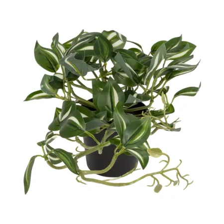ZEBRINA PLANT 20960 Διακοσμητικό Φυτό Ζεμπρίνα Φ45 x Υ22cm - Μικρα Φυτά και Παχύφυτα