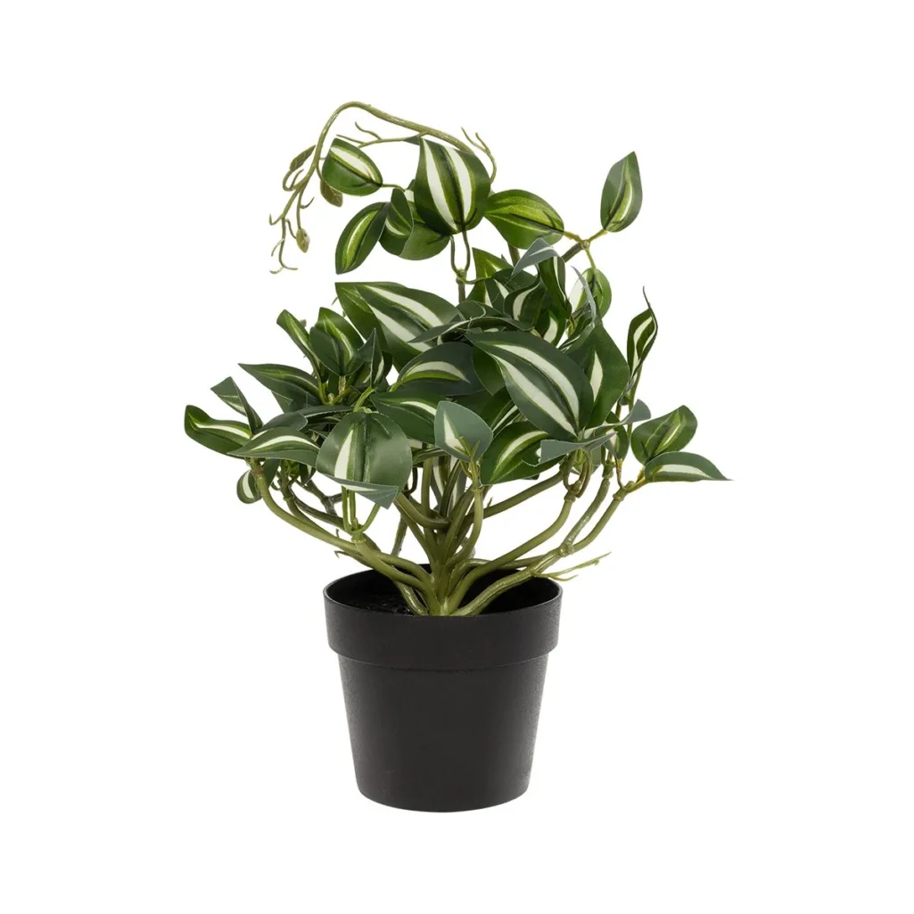 ZEBRINA PLANT 20960 Διακοσμητικό Φυτό Ζεμπρίνα Φ45 x Υ22cm