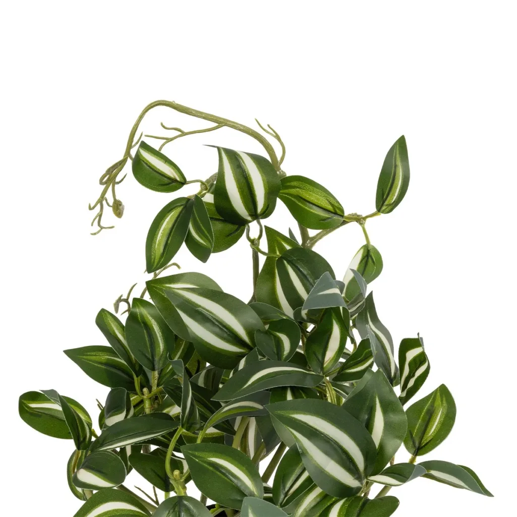 ZEBRINA PLANT 20960 Διακοσμητικό Φυτό Ζεμπρίνα Φ45 x Υ22cm