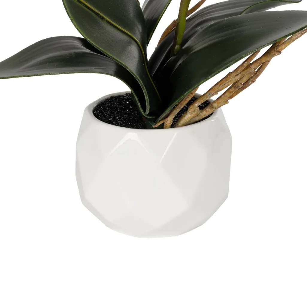 PINK ORCHID 21075 Διακοσμητικό Φυτό Ροζ Ορχιδέα Υ30cm
