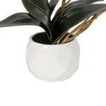 PINK ORCHID 21075 Διακοσμητικό Φυτό Ροζ Ορχιδέα Υ30cm