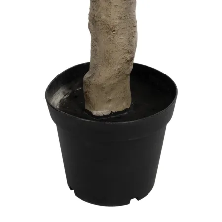 OLIVE TREE 21112 Τεχνητό Διακοσμητικό Δέντρο Ελιά Υ220cm - Τεχνητες Ελιες Sticky 4