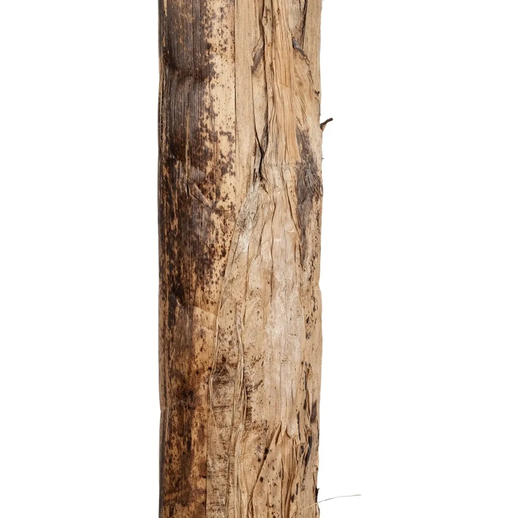 BANANA TREE 21500 Τεχνητό Διακοσμητικό Δέντρο Μπανανιάς Υ300cm