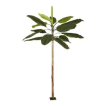 BANANA TREE 21501 Τεχνητό Διακοσμητικό Δέντρο Μπανανιάς Υ400cm