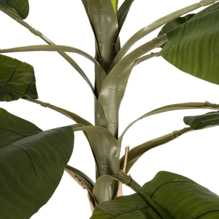 BANANA TREE 21501 Τεχνητό Διακοσμητικό Δέντρο Μπανανιάς Υ400cm - Τεχνητες Μπανανιες Sticky 2