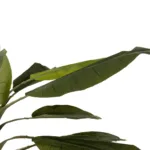 BANANA TREE 21502 Τεχνητό Διακοσμητικό Δέντρο Μπανανιάς Υ500cm