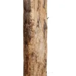 BANANA TREE 21502 Τεχνητό Διακοσμητικό Δέντρο Μπανανιάς Υ500cm