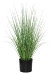 ONION GRASS TREE  NP1009_60 ΥΨΟΣ 60cm